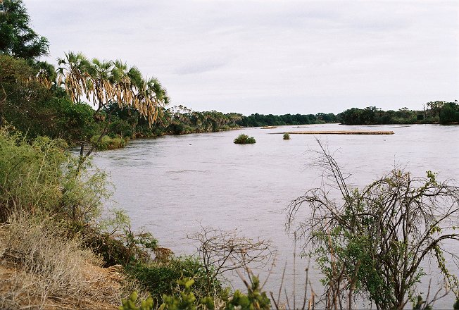 Tana river